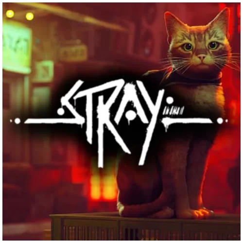  STRAY + HIZLI TESLİM
